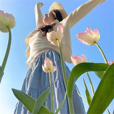 希尔维斯特